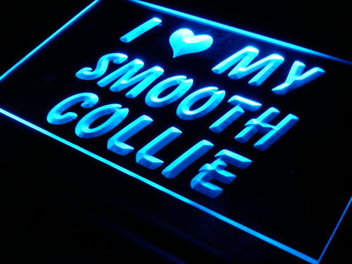 I Love My Smooth Collie Dog Pet Neon Light Sign